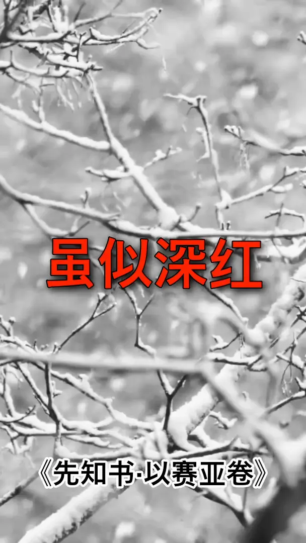 一问一思
